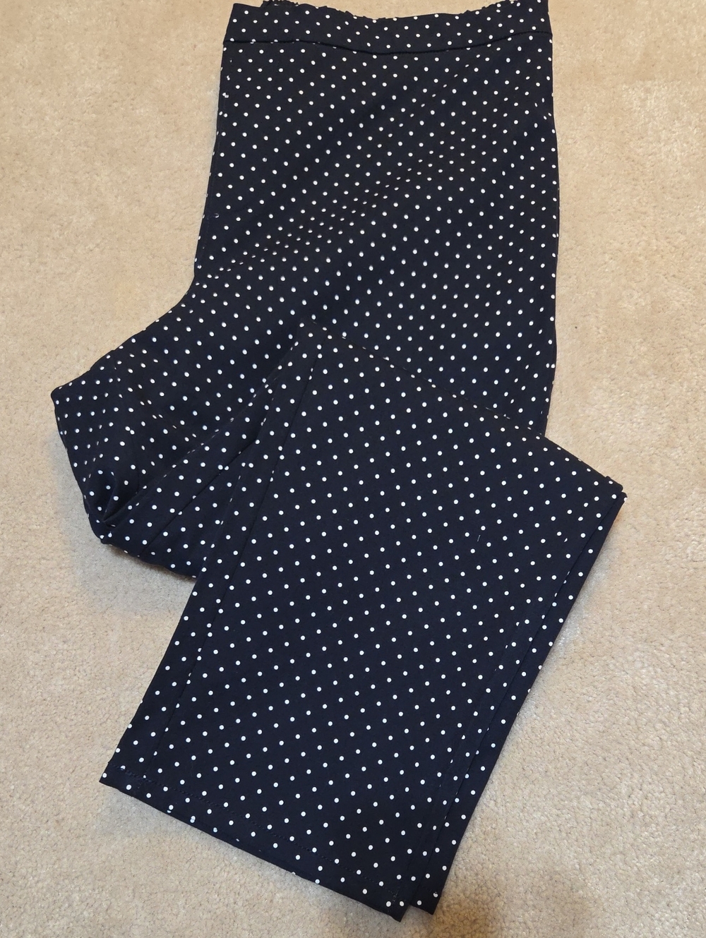 Isaac Mizrahi Navy with White Polka Dot Pull On Pants